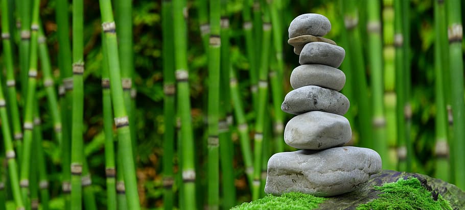focus photo, cairn, bamboo trees background, zen, garden, meditation, monk, stones, bamboo, rest