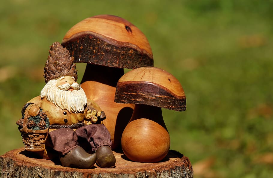 person, taking, multicolored, man, two, mushrooms, wooden, decor, dwarf, imp