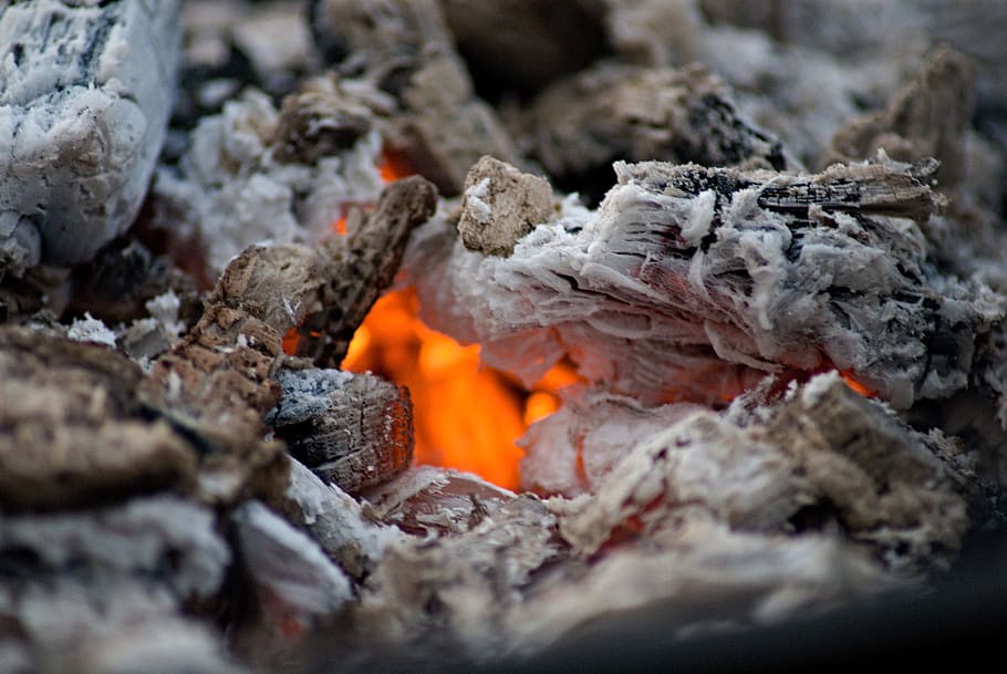 Fire, Wood, Charcoal, Burning, Ash, Hot, fire, wood charcoal, burning, ember, fireplace, the glowing charcoal