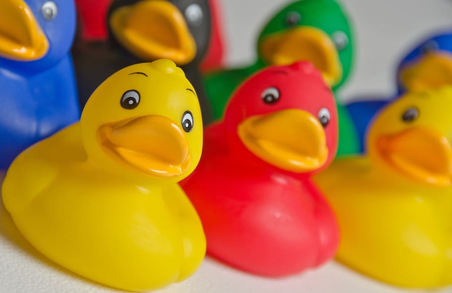toy, duck, yellow, funny, bath, fun, cute, plastic, play, ducks