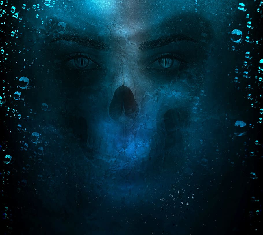 fondo de pantalla de cráneo humano, cráneo, horror, halloween, muerte, muerto, cabeza, hueso, esqueleto, aterrador
