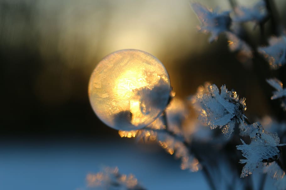 soap bubble, frost blister, winter, eiskristalle, sunset, frozen bubble, afterglow, frozen, moon, nature