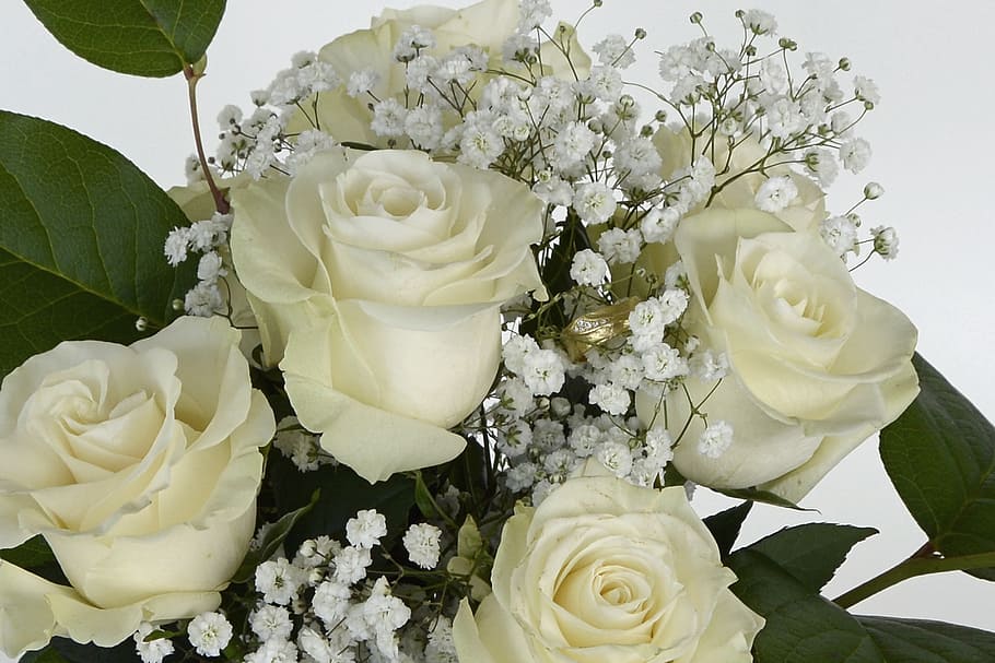 bouquet, white, roses, white roses, rose flower, flowers, gypsophila, flower, nature, bouquet of flowers