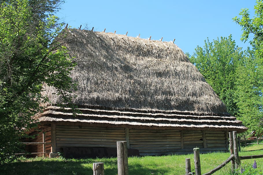 cabana, casa de campo, uta ucraniano, ucrânia, museu, natureza, tradições, planta, árvore, dia