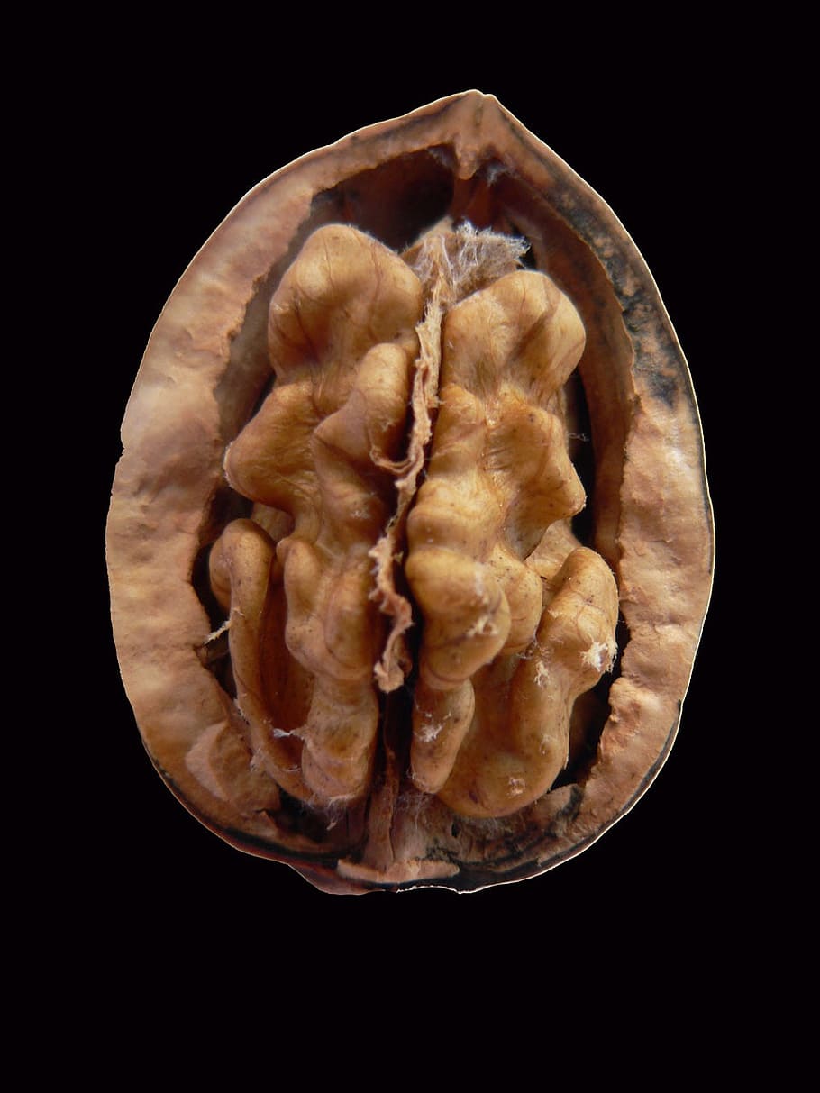 walnut, cracked, kernel, edible, nut, food, nutshell, black background, studio shot, indoors