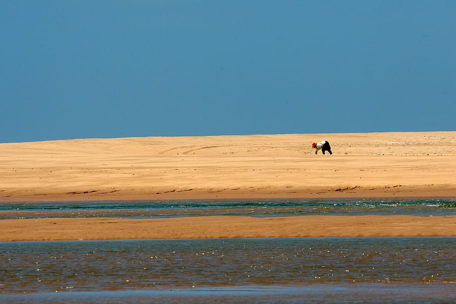 beach, sand, dune, water, person, indian ocean, natal, seashore, south africa, sky