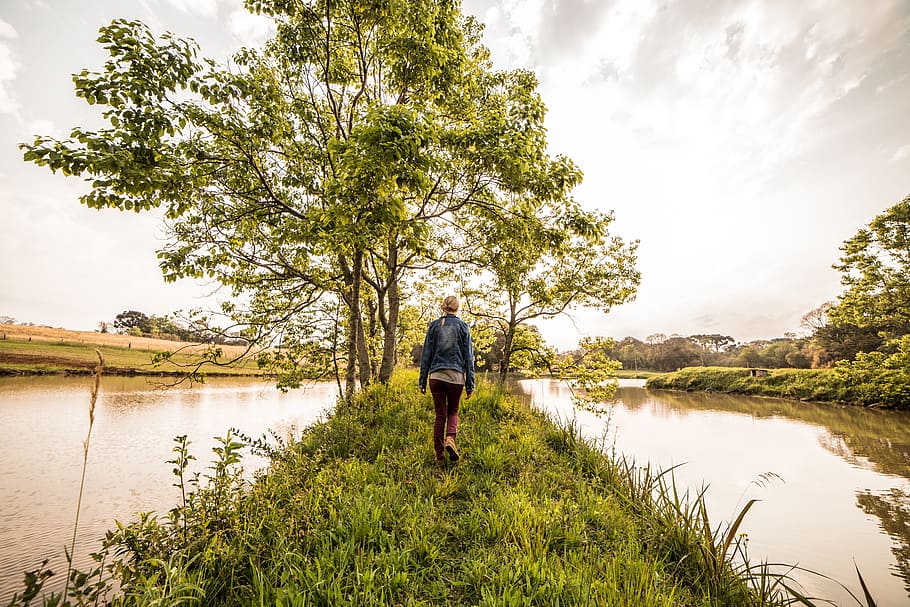person, walking, along, river, tree, nature, sky, landscape, green, grass