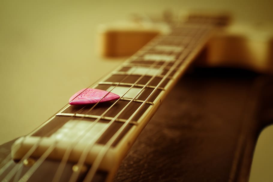 closeup, photography, brown, acoustic, guitar, guitar pick, electric guitar, strings, saddle, instrument