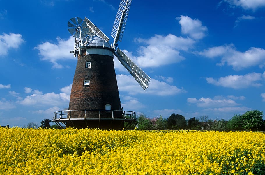 Windmill, Yellow, Blue, Historic, Old, yellow, blue, field, countryside, england, outdoor