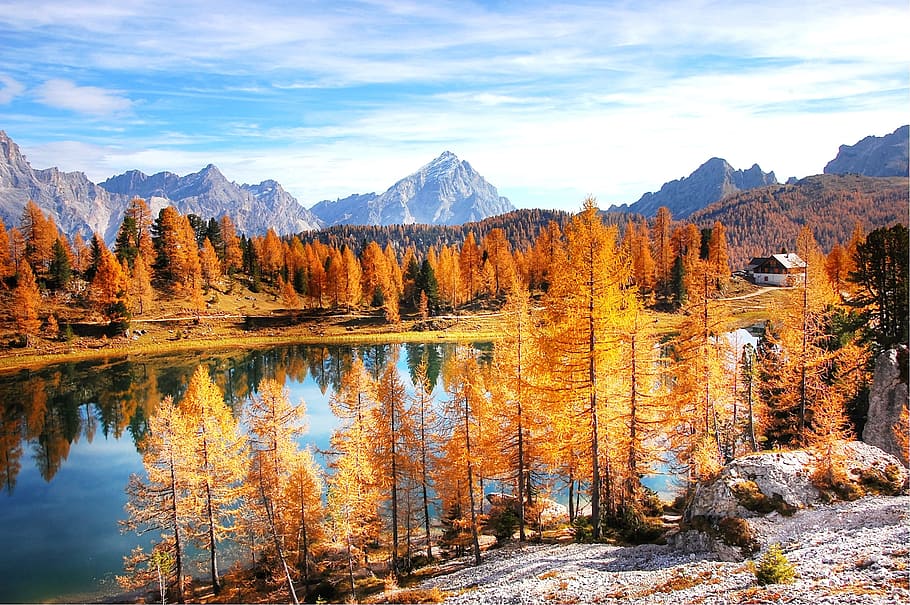 river, brown, leaf trees, dolomites, mountains, italy, alpine, view, nature, lake