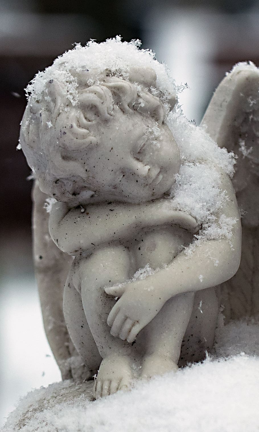snow, winter, frost, frozen, angel, statue, close-up, focus on foreground, art and craft, cold temperature