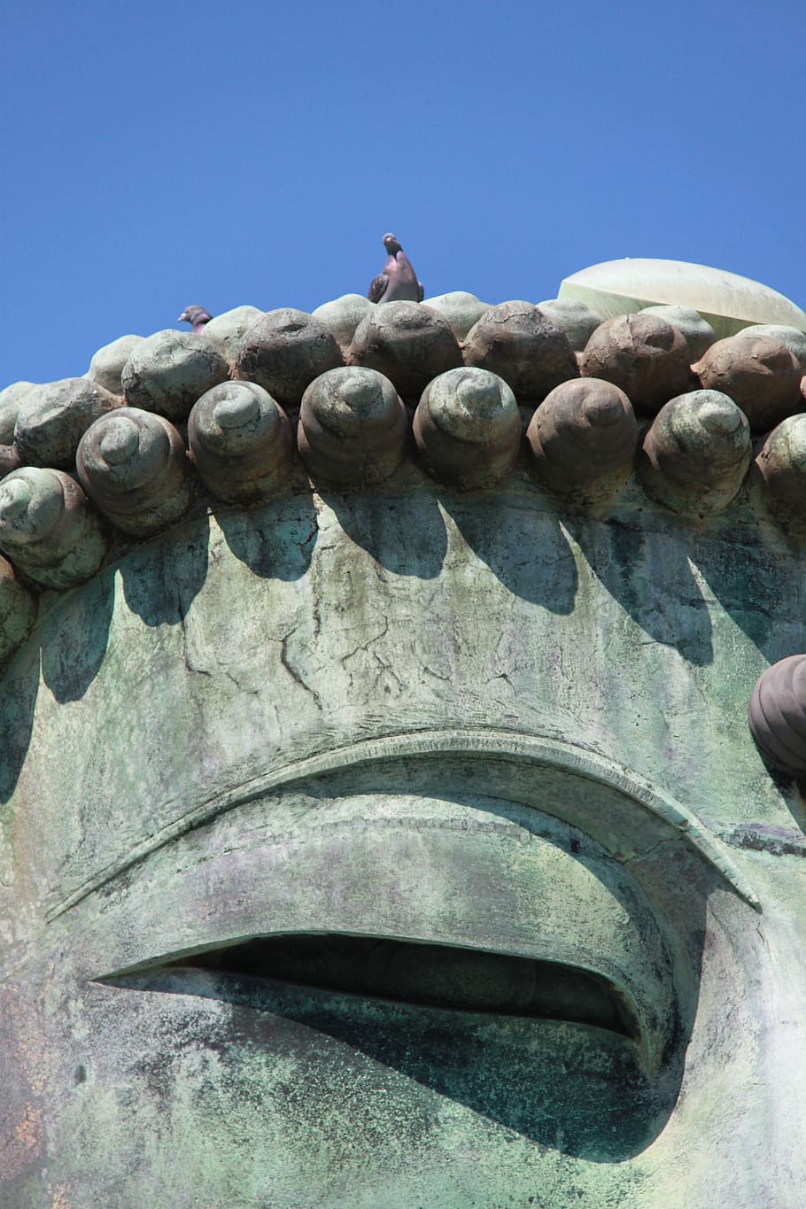 great buddha, doves on the head, statue, japan, kōtoku-in temple, dove, bird, peace, sculpture, bronze
