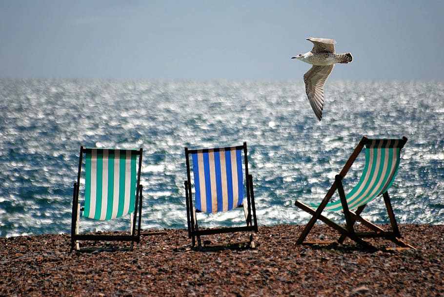 three, assorted-color, wooden, folding, chairs, seashore, deckchairs, sea, beach, seaside