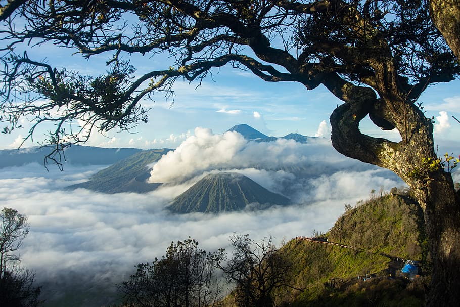 bromo, landscape, indonesia, nature, java, volcano, mountain, crater, morning, sunrise