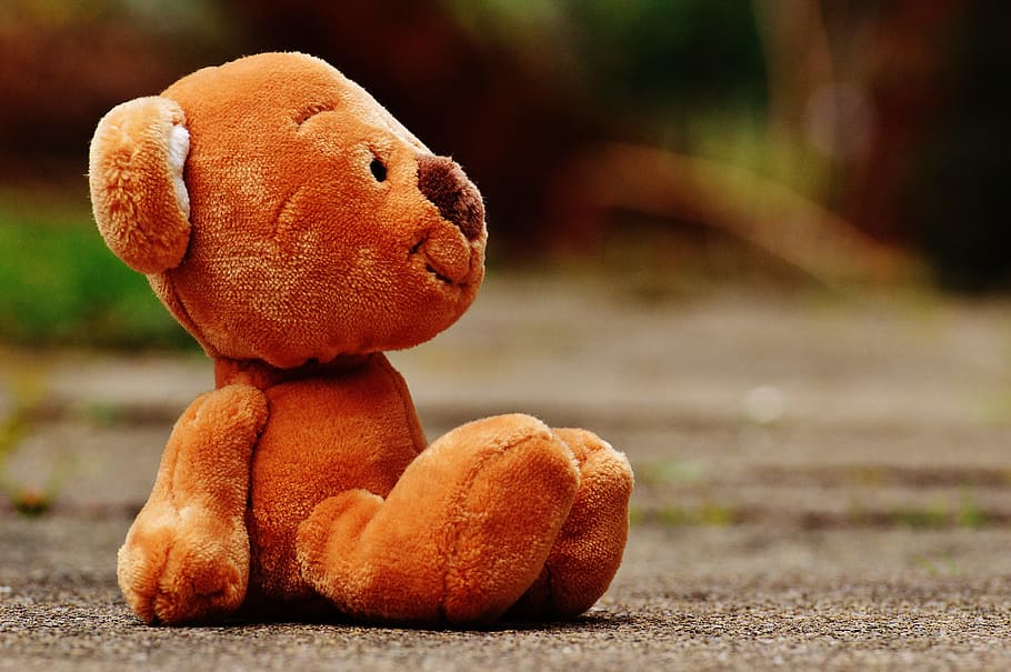 shallow, focus photography, brown, bear, plush, toy, ground, teddy, soft toy, stuffed animal