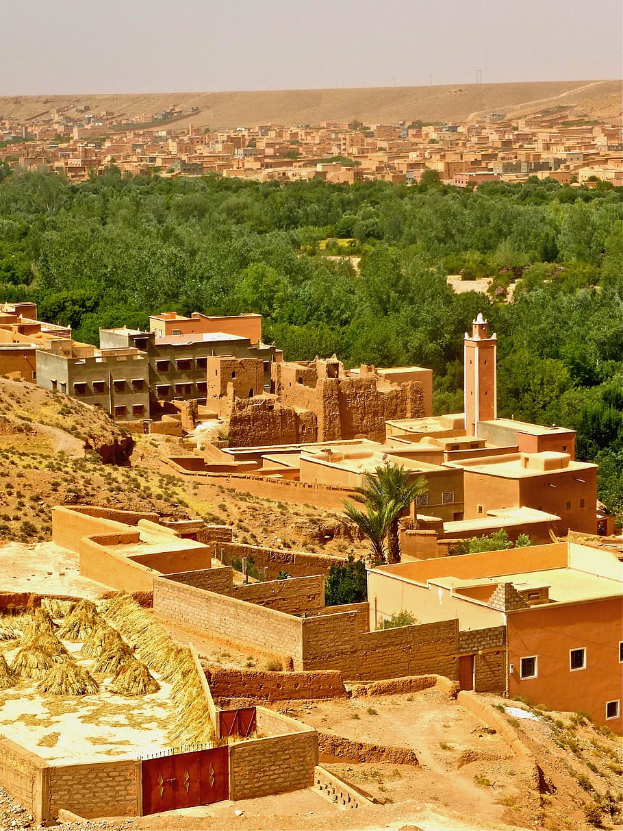desert, minaret, morocco, adobe, architecture, built structure, building exterior, nature, day, plant