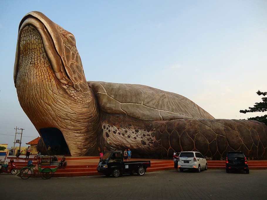 vehicles, huge, giant turtle art installation, clear, skies, kura kura, the giant turtle, kartini's beach, transportation, mode of transportation