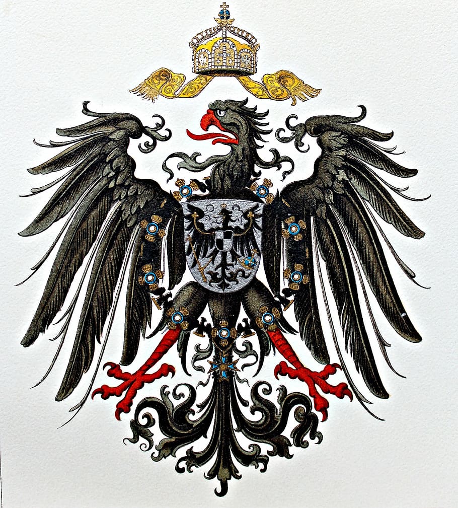 heráldica, escudo de armas, escudo de armas de águila, escudo de armas de águila  alemana, real, arte y artesanía, representación, creatividad, celebración,  en interiores | Pxfuel