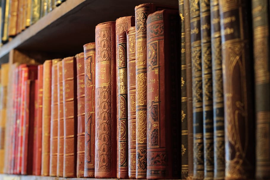 libros, anticuario, tübingen, viejo, leer, baden württemberg, libro, literatura, conocimiento, educación