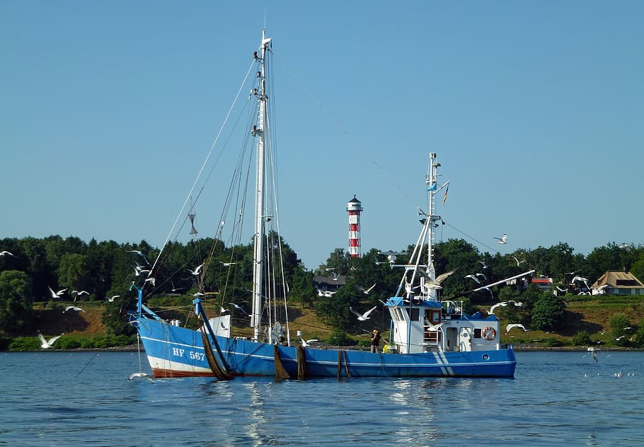 Elbe, Fischer, Fishing Vessel, Kahn, cutter, river, hamburg, fishing, nautical vessel, water