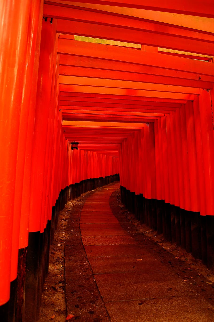 siapa pun yang tidak, kayu, bangunan, Jepang, Kyoto, budaya Jepang, kuil, taman, gang, merah