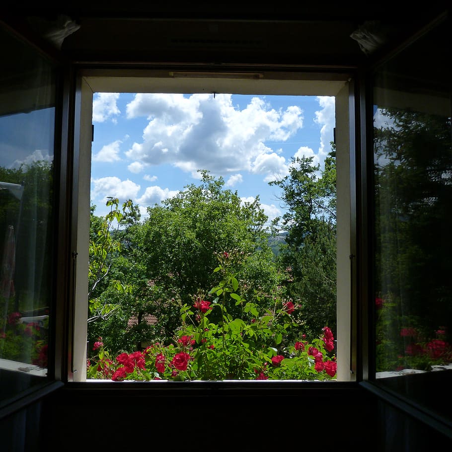 landscape, window, opening, flowers, trees, sky, light and shade, contrast, against the light, spring