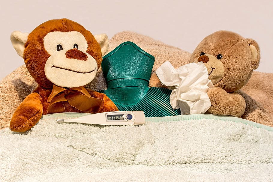 monkey, bear, plush, toy, bed, cold, catch a cold, sniff, handkerchief, fever thermometer