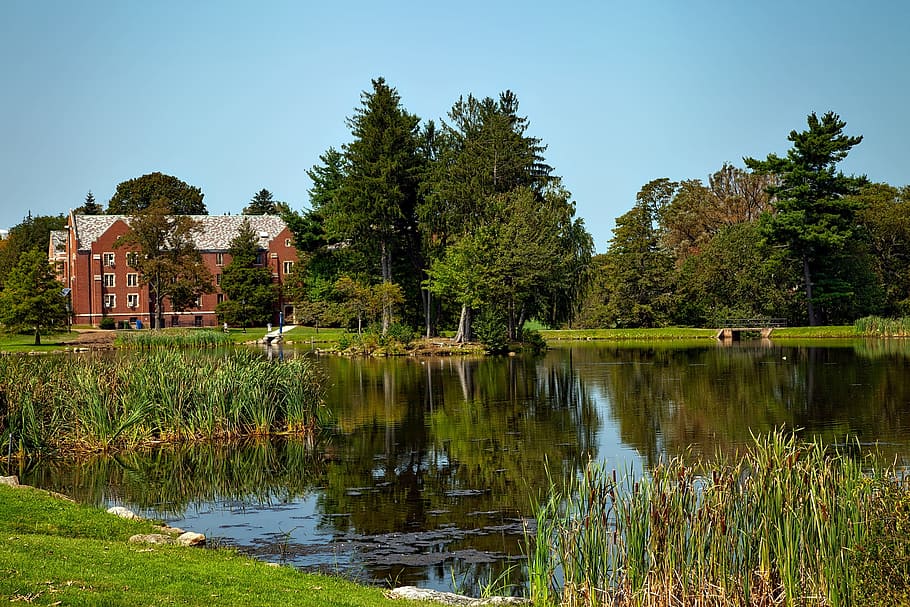university of connecticut, buildings, pond, lake, campus, reflections, autumn, fall, landscape, scenic