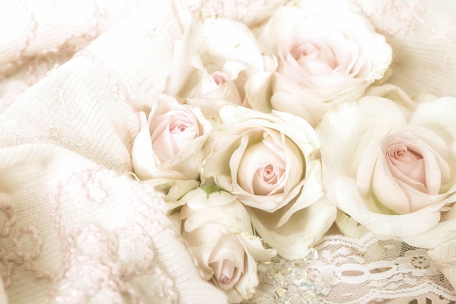 white, roses, textile, stack, white roses, pastel, antique, vintage, shabby chic, wedding