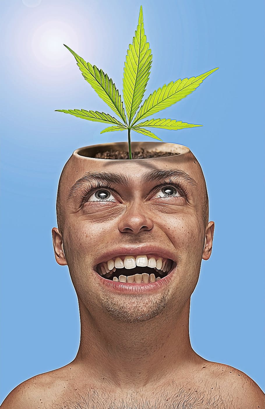 verde, planta de cannabis, hombre, cabeza, caricatura, dibujos animados,  divertido, maceta, marihuana, cannabis | Pxfuel