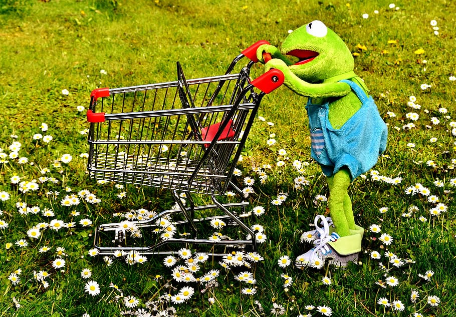 無題, カーミット, カエル, ショッピング, ショッピングカート, 楽しい, ぬいぐるみ, おかしい, おもちゃ, 緑