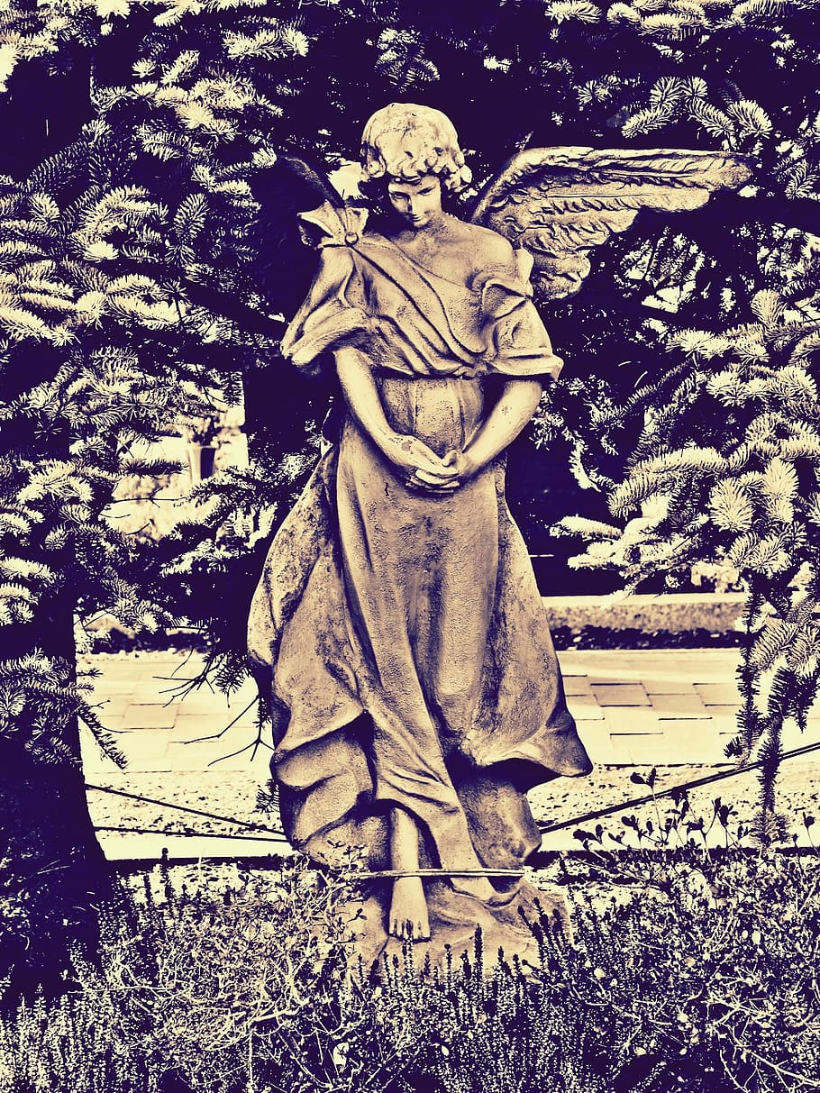 statue, angle, green, leaf plants, angel, stone angel, cemetery, fir, faith, grave