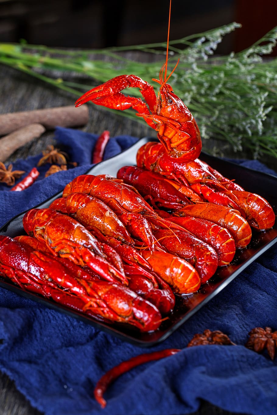 lagosta, gadget inspetor de camarão, comida e bebida, comida, vermelho, frescura, crustáceo, close-up, frutos do mar, ninguém