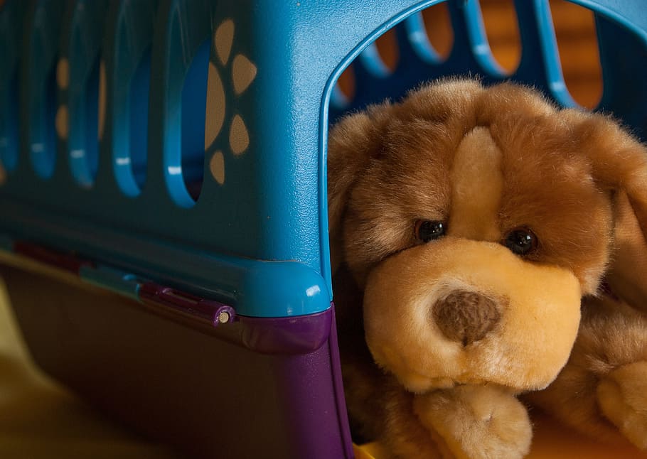 brown, bear, plush, toy, placed, inside, pet porter toy, dog, niche, cage