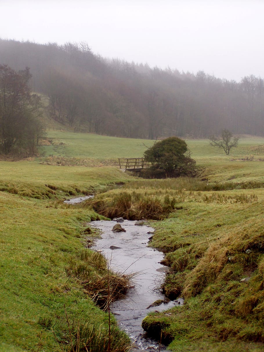 Paisaje Inglaterra Prado Naturaleza Reino Unido Ingles Verde Mistico Bach Niebla Pxfuel