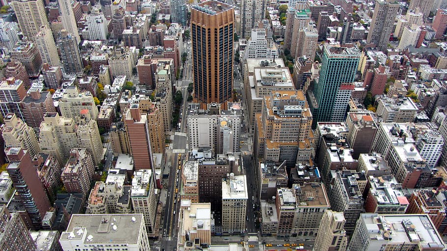 상단, 전망, 도시 건물, 낮, 맨해튼, 뉴욕, 뉴욕시, 시티, 지평선, 고층 빌딩