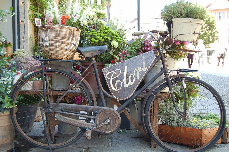 brown, wicker basket, bicycle, black, step, bike, flower, plants, nature, pot