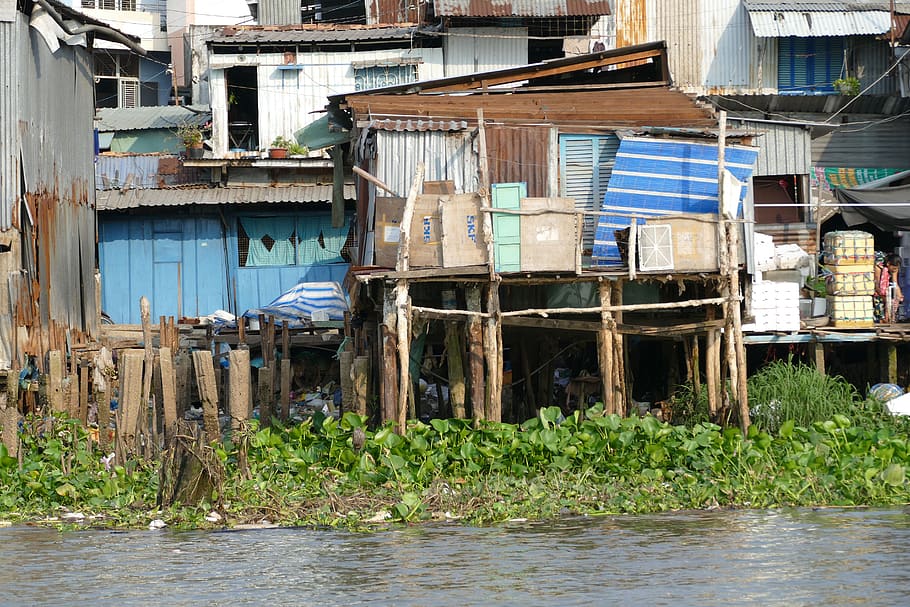 vietnã, ásia, rio, cabana, pobreza, viver, panelas, tigela, apartamento, folha de papelão ondulado