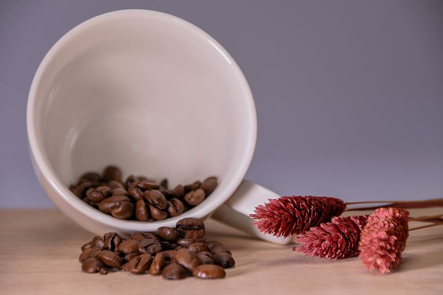 Cup, Grain Coffee, Still Life, coffee, grain, potty, brown, drink, food, bean