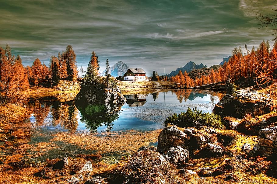 landscape photography, body, water, surrounded, orange, leaf trees, dolomites, mountains, lake, bergsee