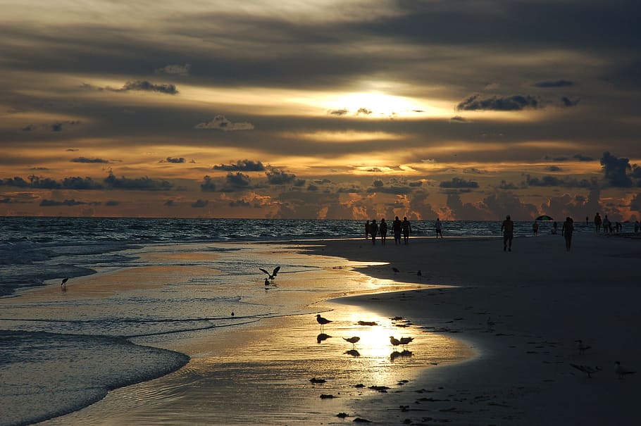 group, people, standing, seashore, sunset, siesta key, florida, beach, water, sea