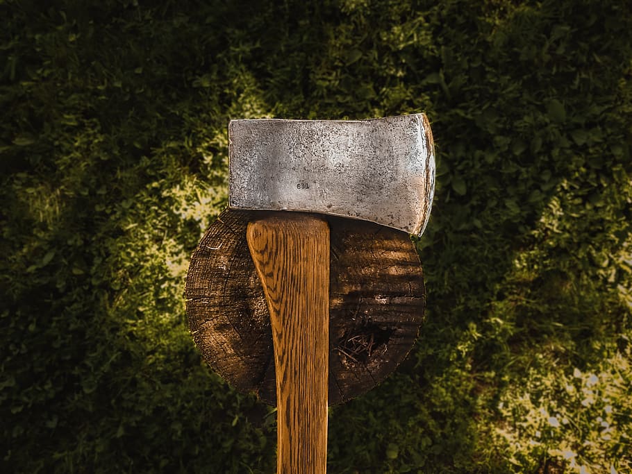 axe, tree, stump, chop, wood, green, top, ground, natural, handle