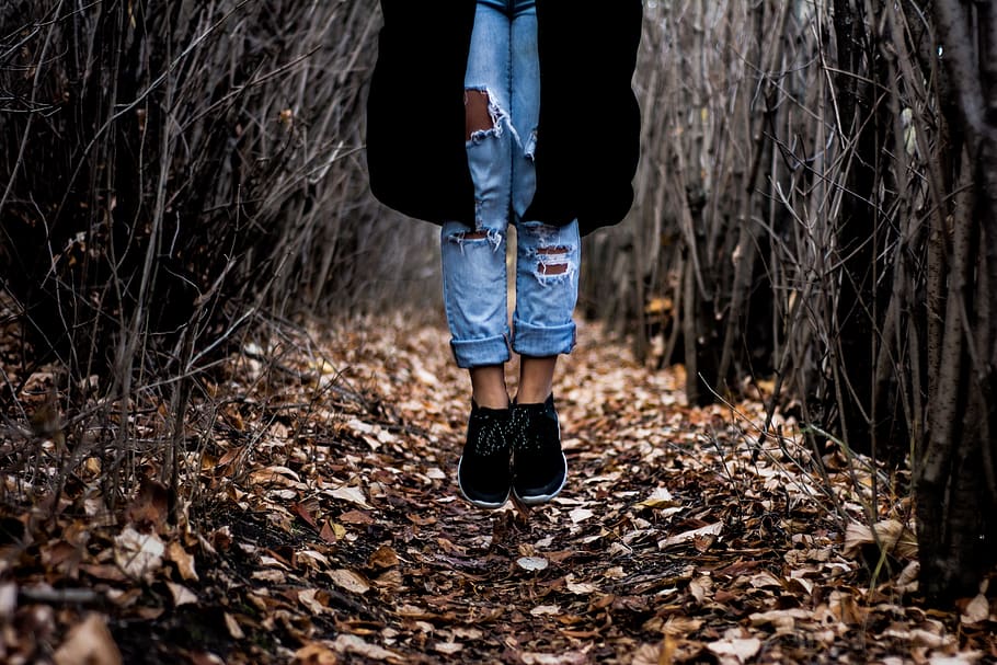 trees, branches, leaves, fall, autumn, nature, girl, woman, people, jeans