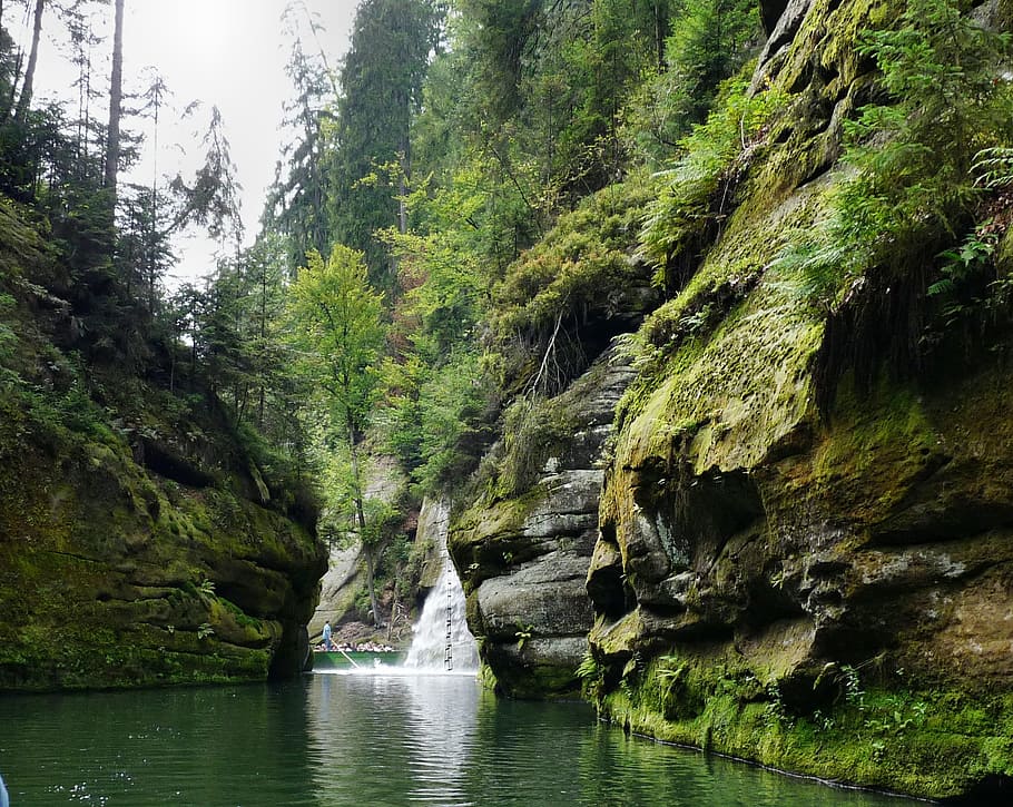 砂岩, 岩, 自由hem放なスイス, チェコ共和国, 風景, 奇妙なフェルゼンヴェルト, 木, 水, 自然の美しさ, 植物