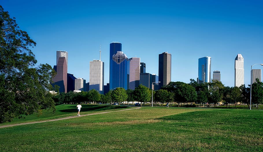 灰色, 白, 高層, 建物, 風景写真, ヒューストン, テキサス, 都市, 都市景観, 公園