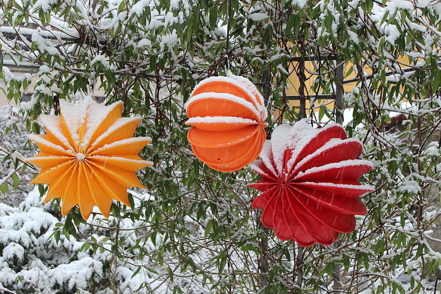 tres, naranja, rojo, decoración, colgado, árbol, lampion, resistente a la intemperie, robusto, nieve