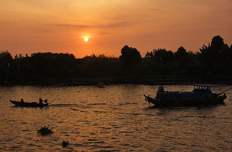 silhouette, boats, tree, golden, hour, vietnam, mekong river, boat trip, mekong delta, halong bay