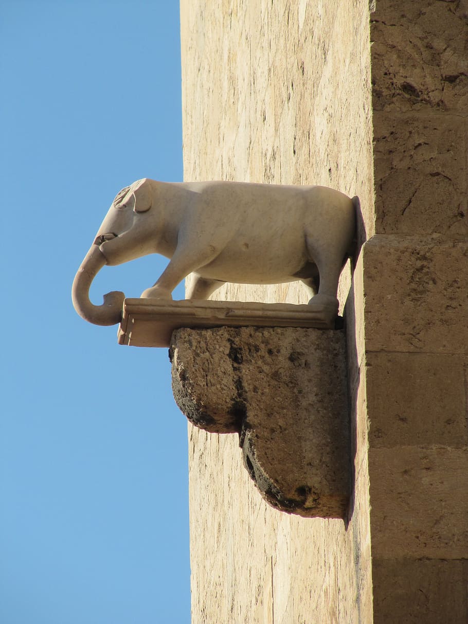 Torre de elefante, Cagliari, Cerdeña, fachada, figura, elefante, sin gente, día, animal, un animal