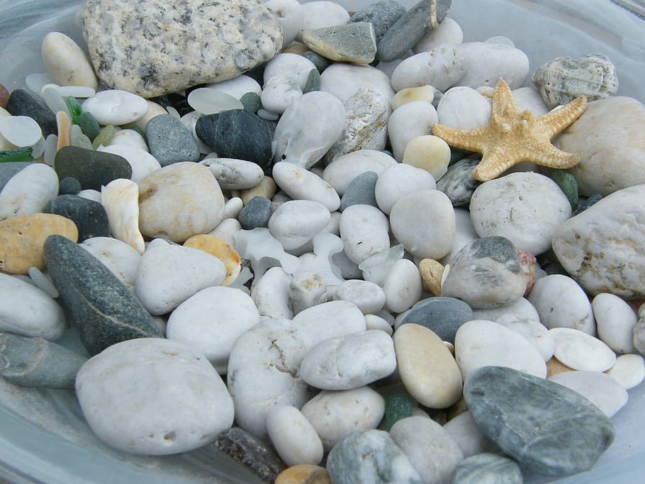 ベージュの星の魚, 灰色, 白, 茶色の石, 断片, 小石, 石, 禅, バランス, スパ
