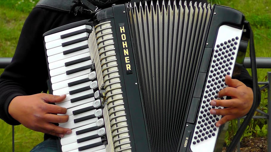 person, holding, black, white, hohner accordion, accordion, musical instruments, sound, music, instrument